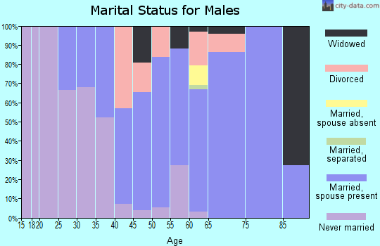 Zip code 04047 marital status for males