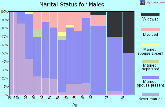 Zip code 04048 marital status for males