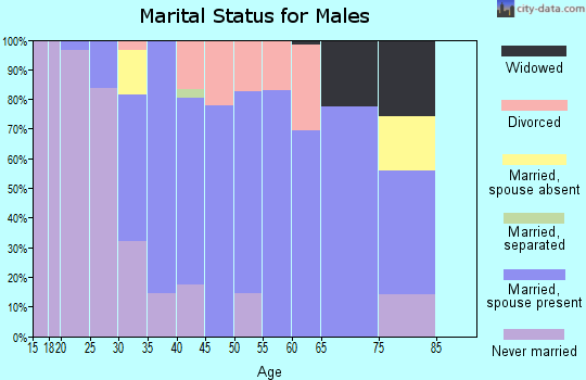 Zip code 04049 marital status for males