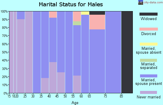 Zip code 04051 marital status for males
