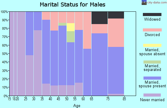 Zip code 04055 marital status for males