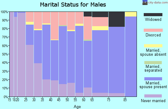 Zip code 04062 marital status for males