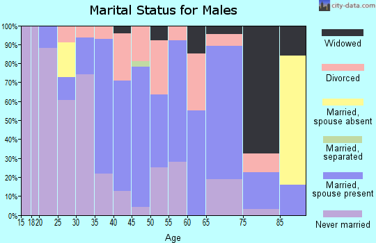 Zip code 04068 marital status for males