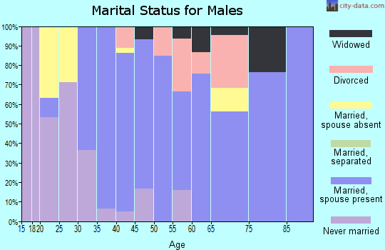 Zip code 04069 marital status for males
