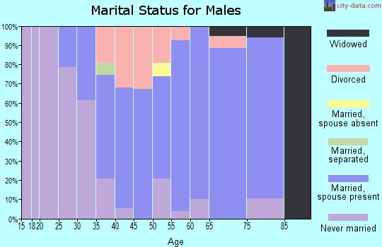 Zip code 04071 marital status for males