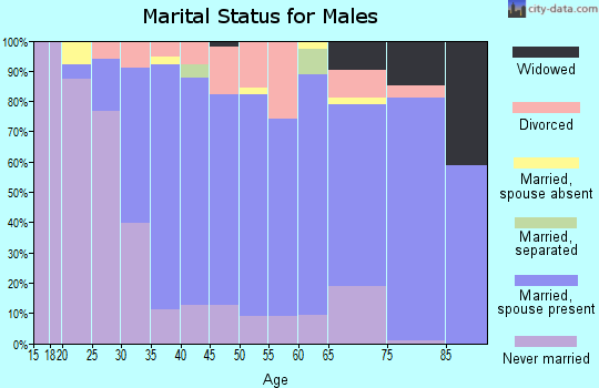 Zip code 04072 marital status for males