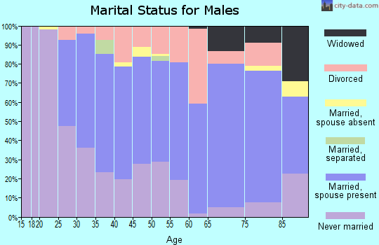 Zip code 04073 marital status for males