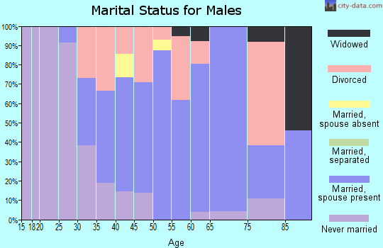 Zip code 04076 marital status for males