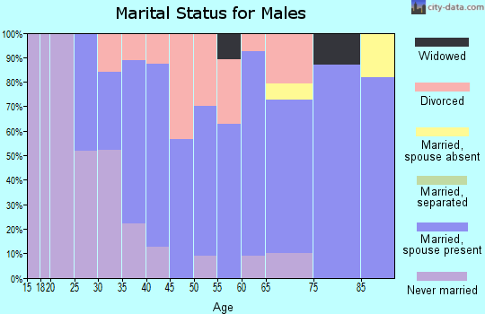 Zip code 04083 marital status for males