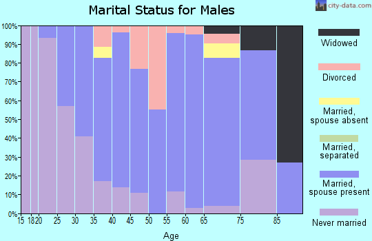 Zip code 04084 marital status for males