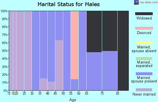 Zip code 04087 marital status for males
