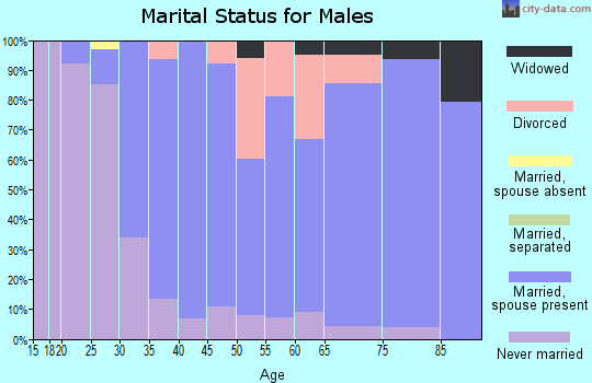 Zip code 04090 marital status for males