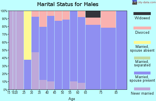 Zip code 04091 marital status for males