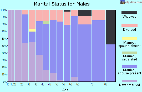 Zip code 04093 marital status for males