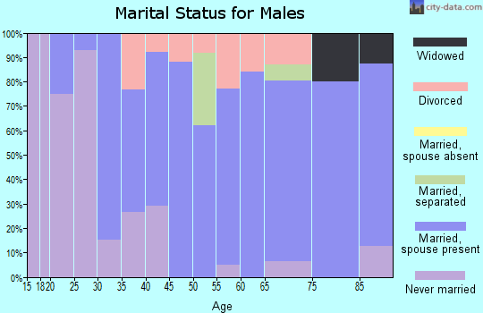 Zip code 04095 marital status for males
