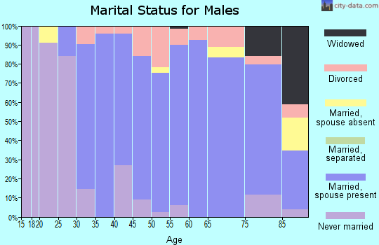 Zip code 04096 marital status for males