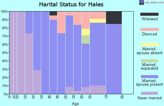 Zip code 04097 marital status for males