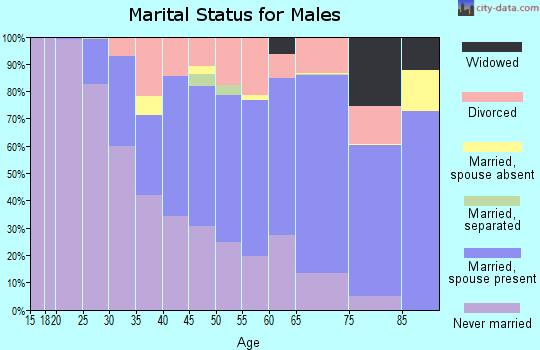 Zip code 04102 marital status for males