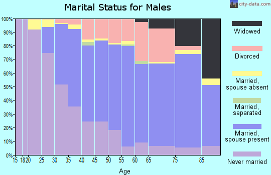 Zip code 04103 marital status for males