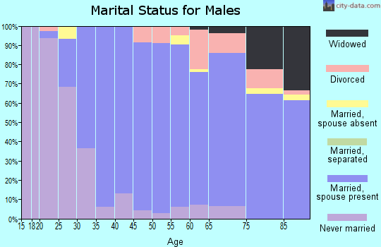 Zip code 04105 marital status for males