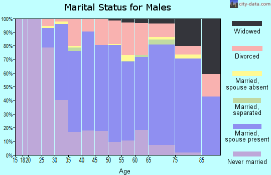 Zip code 04106 marital status for males