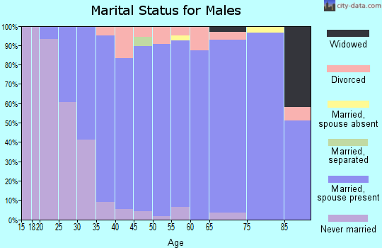 Zip code 04107 marital status for males