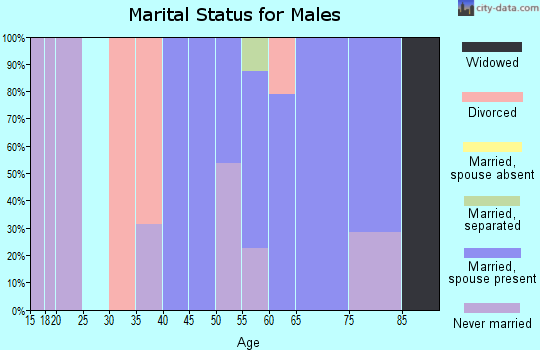 Zip code 04108 marital status for males