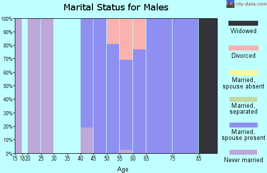 Zip code 04110 marital status for males