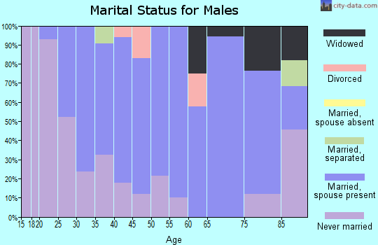 Zip code 04219 marital status for males