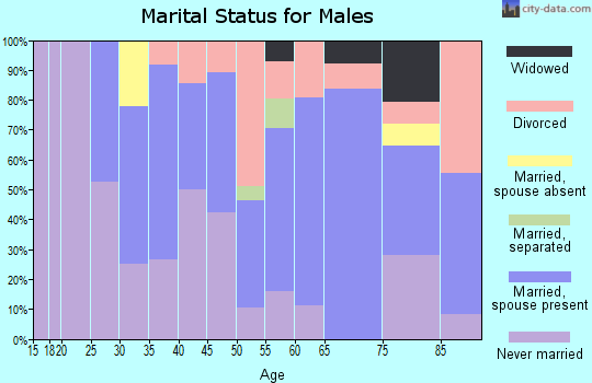 Zip code 04220 marital status for males