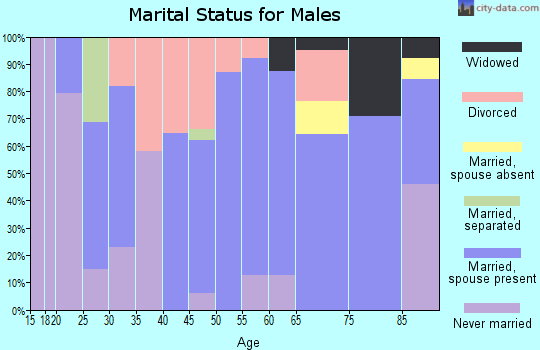 Zip code 04221 marital status for males