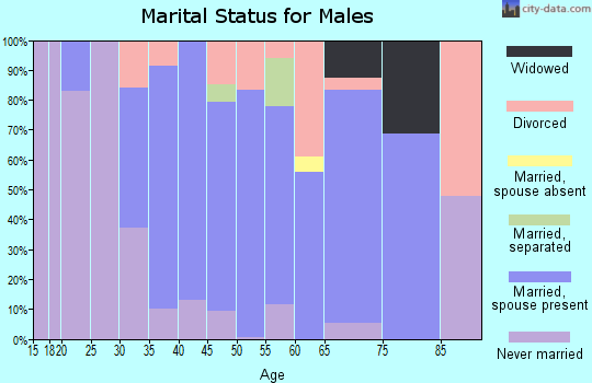 Zip code 04222 marital status for males