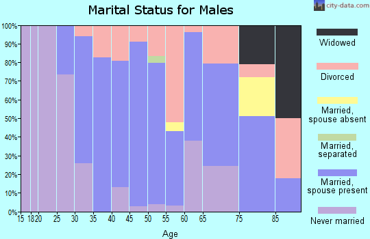 Zip code 04224 marital status for males