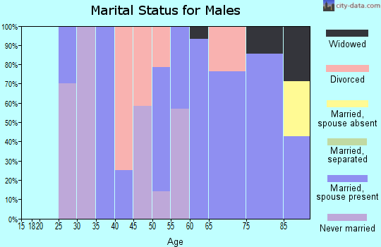 Zip code 04231 marital status for males