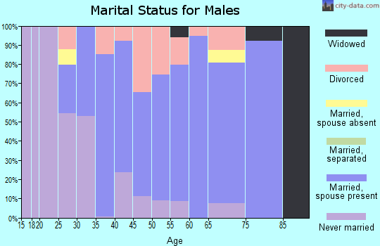 Zip code 04236 marital status for males