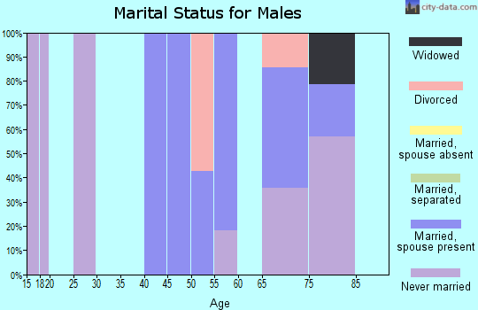 Zip code 04237 marital status for males