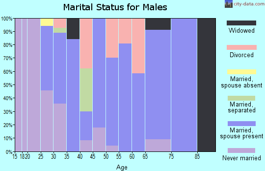 Zip code 04238 marital status for males
