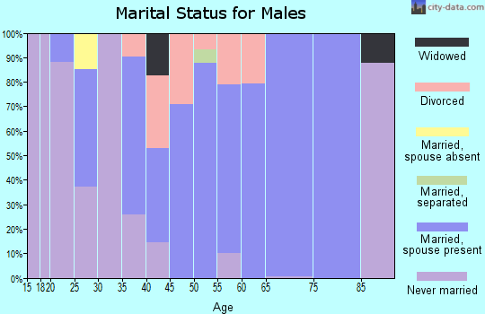 Zip code 04239 marital status for males