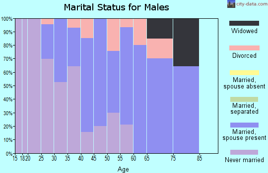 Zip code 04252 marital status for males
