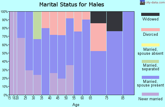 Zip code 04253 marital status for males