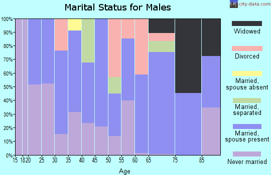 Zip code 04254 marital status for males
