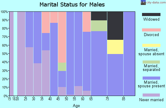 Zip code 04256 marital status for males
