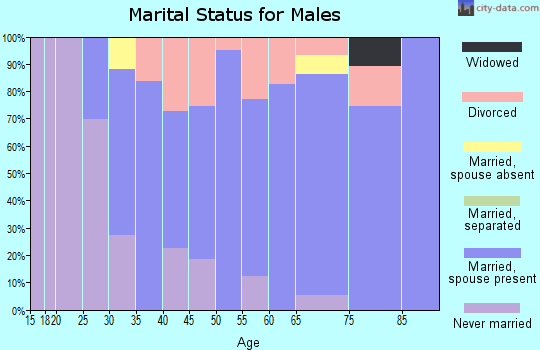 Zip code 04258 marital status for males