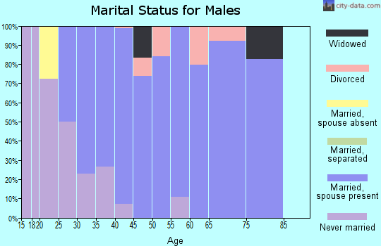 Zip code 04259 marital status for males
