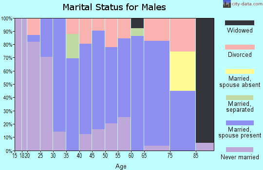 Zip code 04260 marital status for males