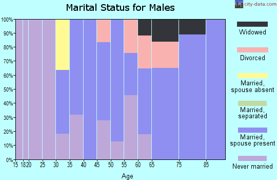 Zip code 04261 marital status for males