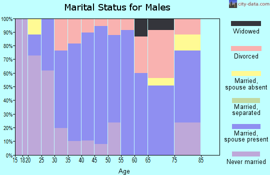 Zip code 04263 marital status for males
