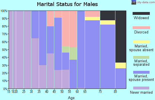 Zip code 04268 marital status for males