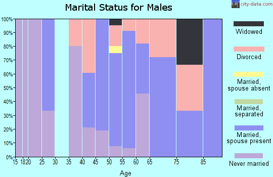 Zip code 04275 marital status for males