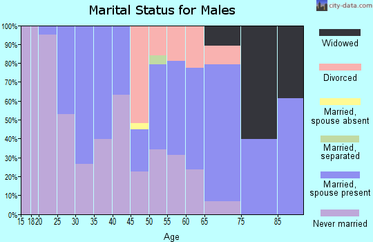 Zip code 04276 marital status for males